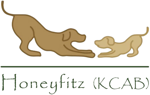 Honeyfitz